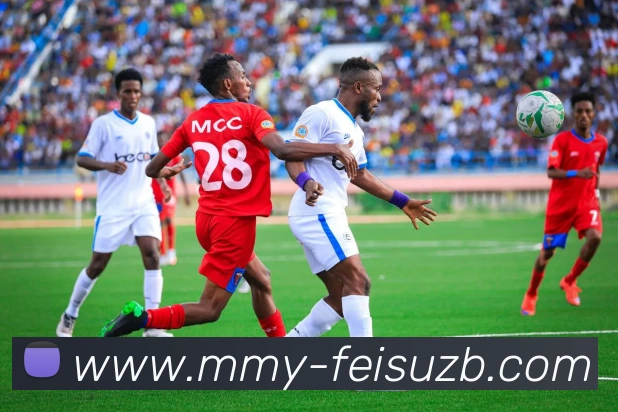 飞速世界杯直播品牌故事