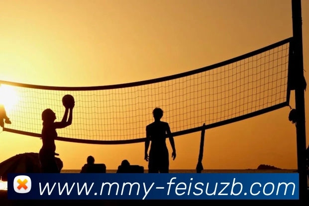 飞速世界杯直播服务体系